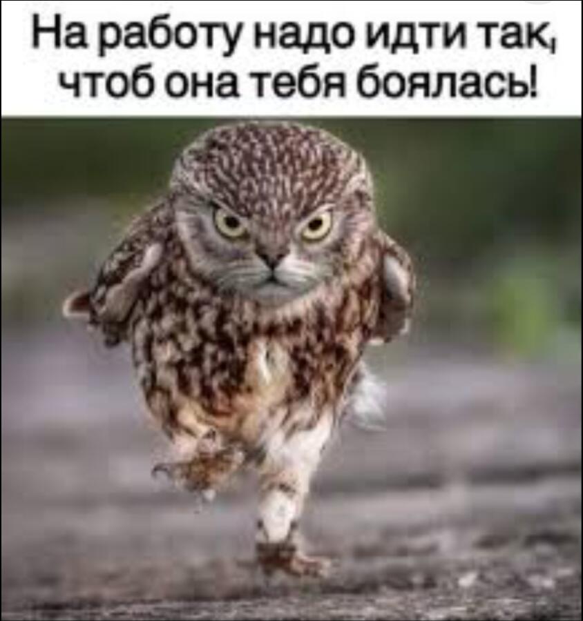 Мем от Mem_Cat