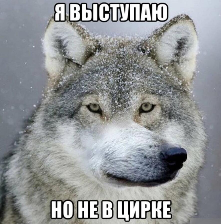 Мем от Mem_Cat