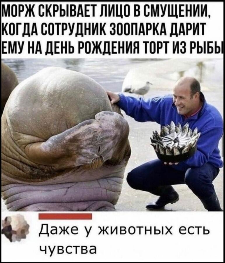 Мем от Mem_Cat