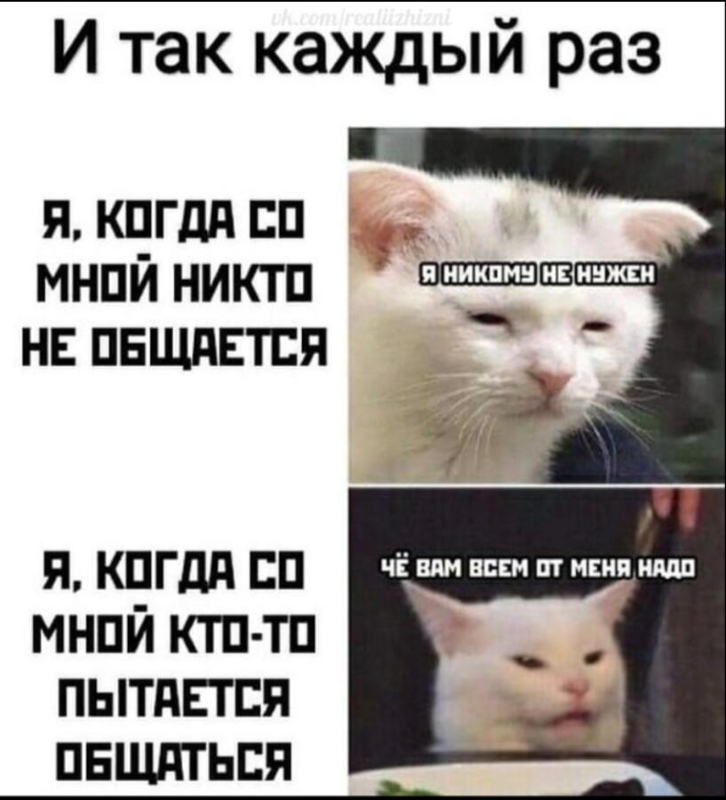 Мем от Mem_Cat