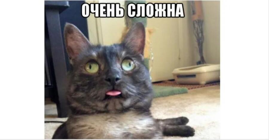 Я на каждой контрольной:
