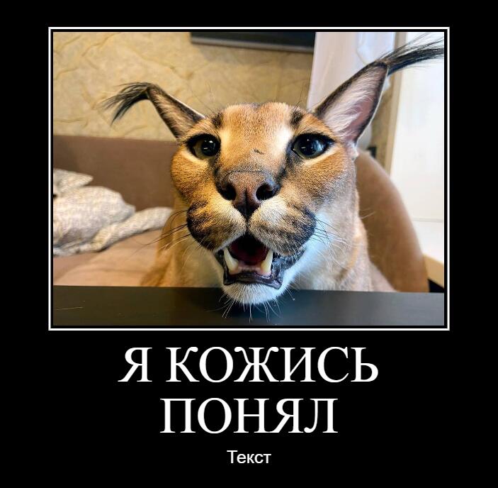 Меня в кс го убивает друг