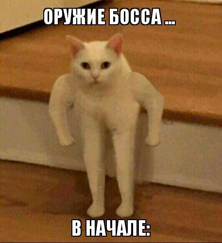 Текст