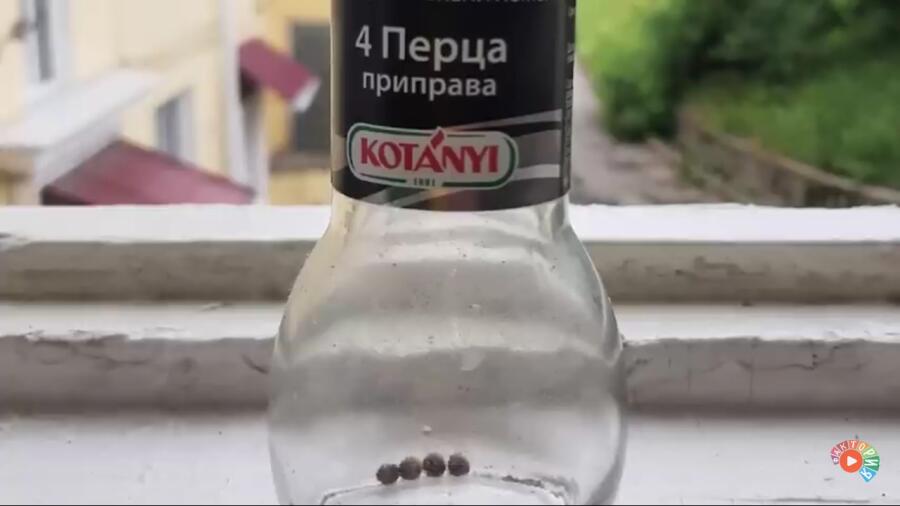 Реалистичность
