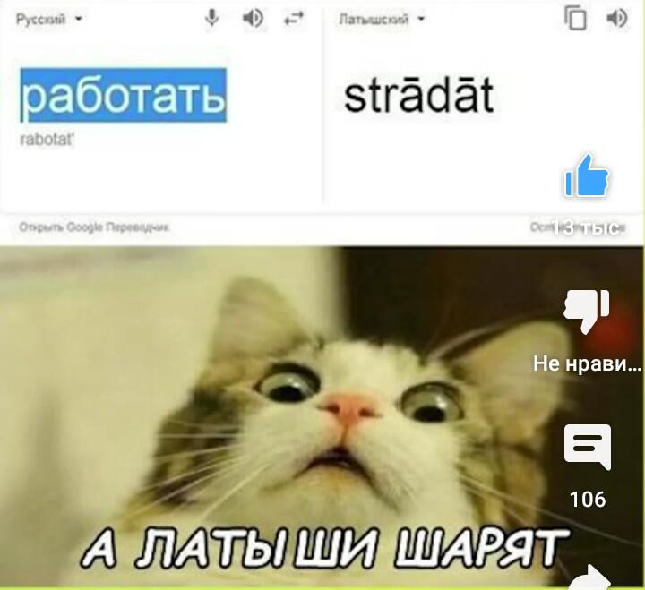 Мем без подписи