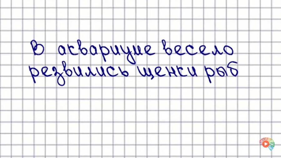 Сразу представил волосатую рыбёшку  Ютуб канал фактория