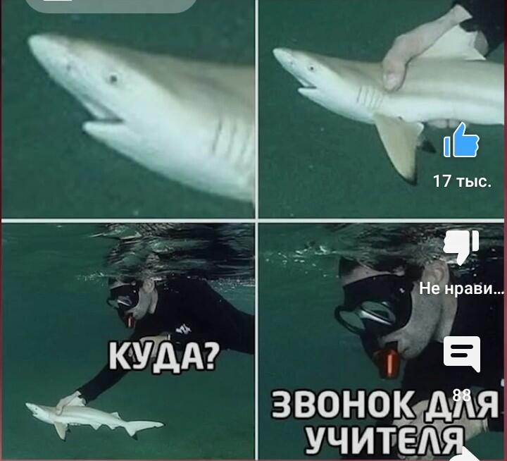 Мем без подписи