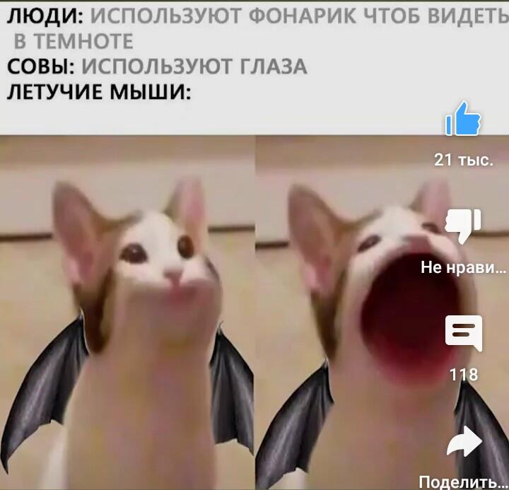 Мем от Игнаттт Мемосборщик