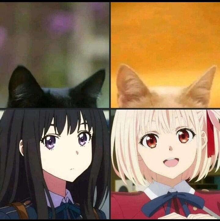 Как это мило