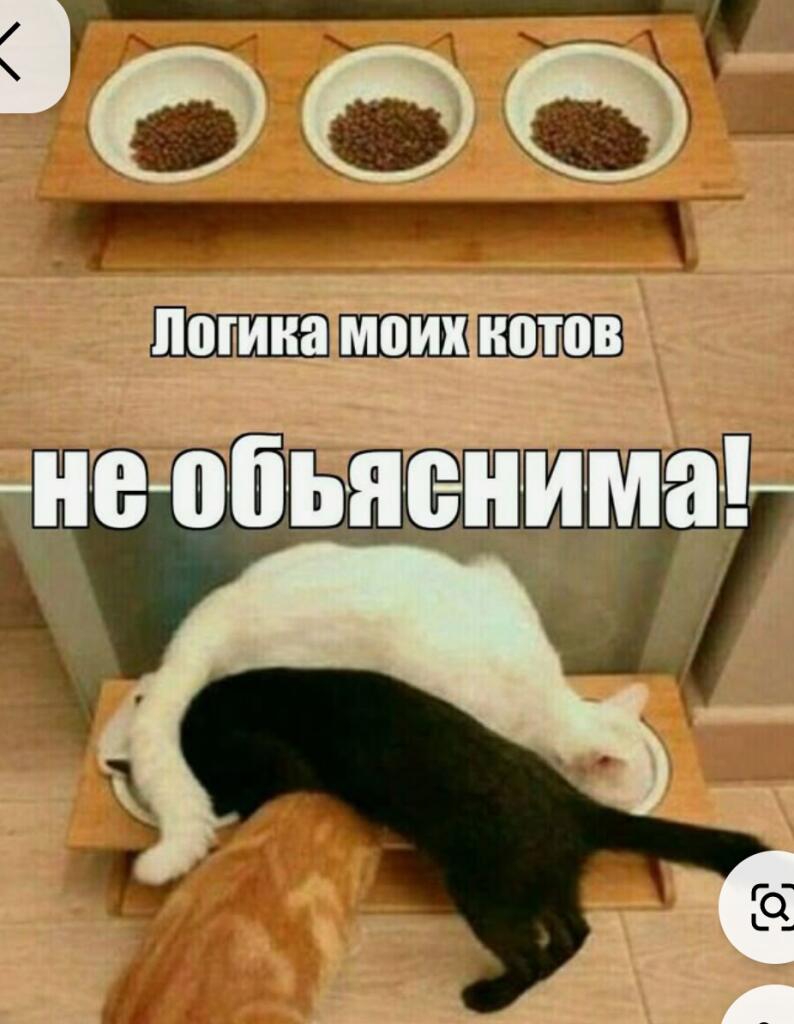 Просто ... Фото не моё