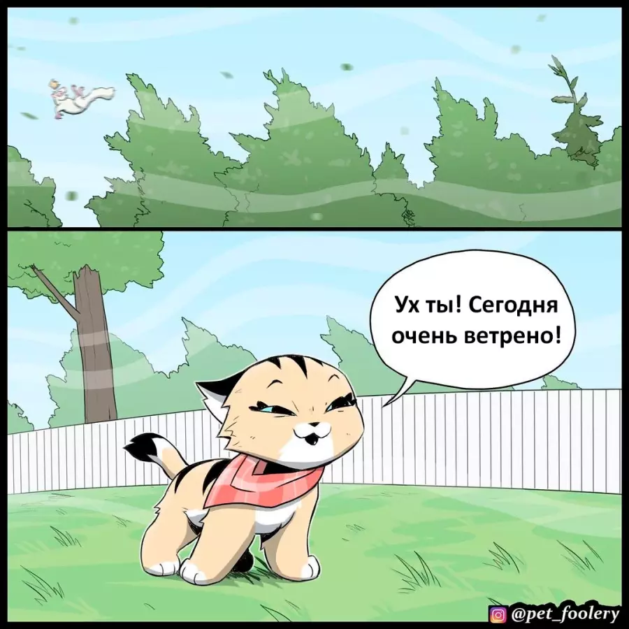 Новый комикс пикси и брут: ремейк комикса очень... | кот гад тв1zРоссия ...