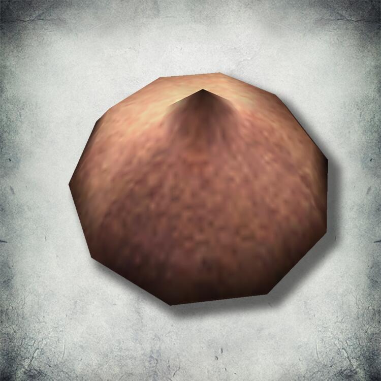 Банглер бейн. Морровинд зелья. Морровинд ингредиенты. Морровинд инвентарь. Обливион алхимическая лаборатория.