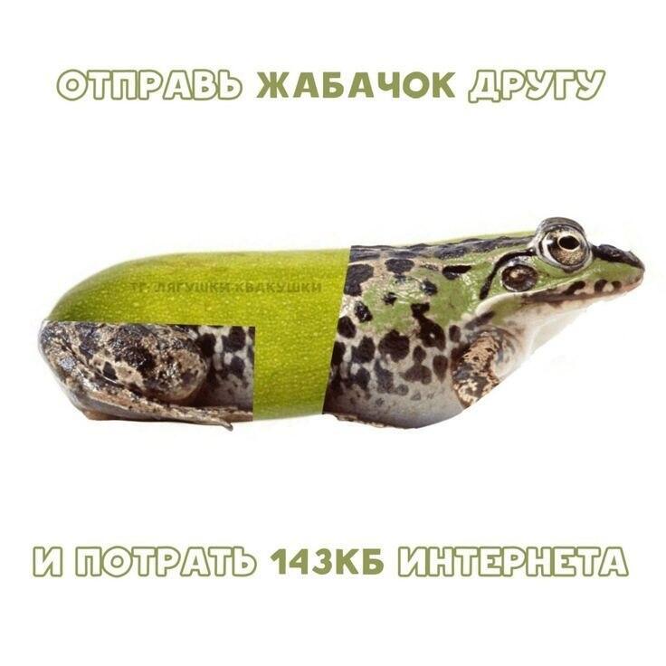 Мем от Meliostr [ПЛМ]