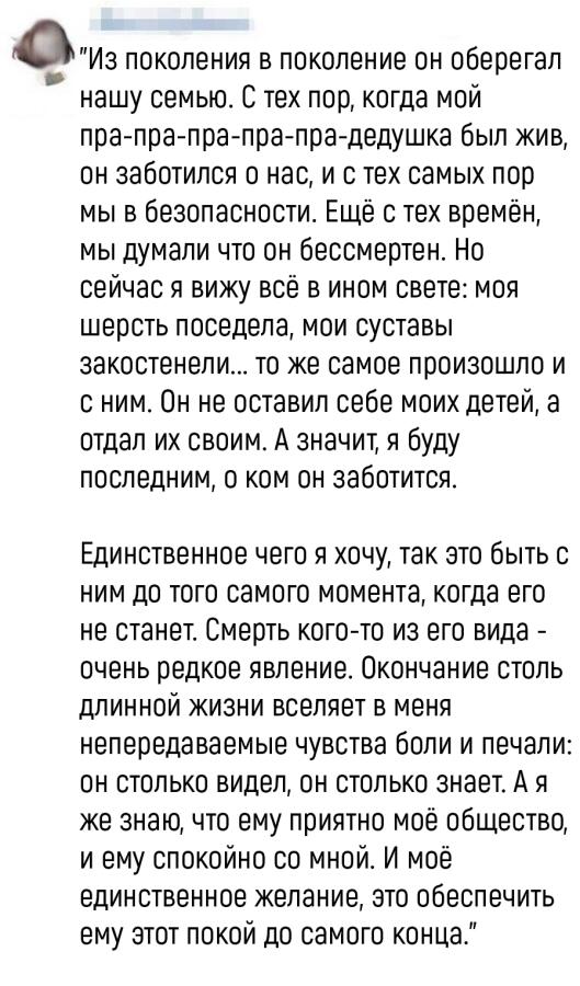 Собака о хозяине