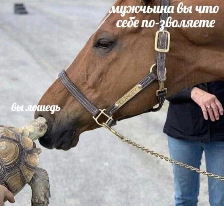 Мем от Биполярный Медведь