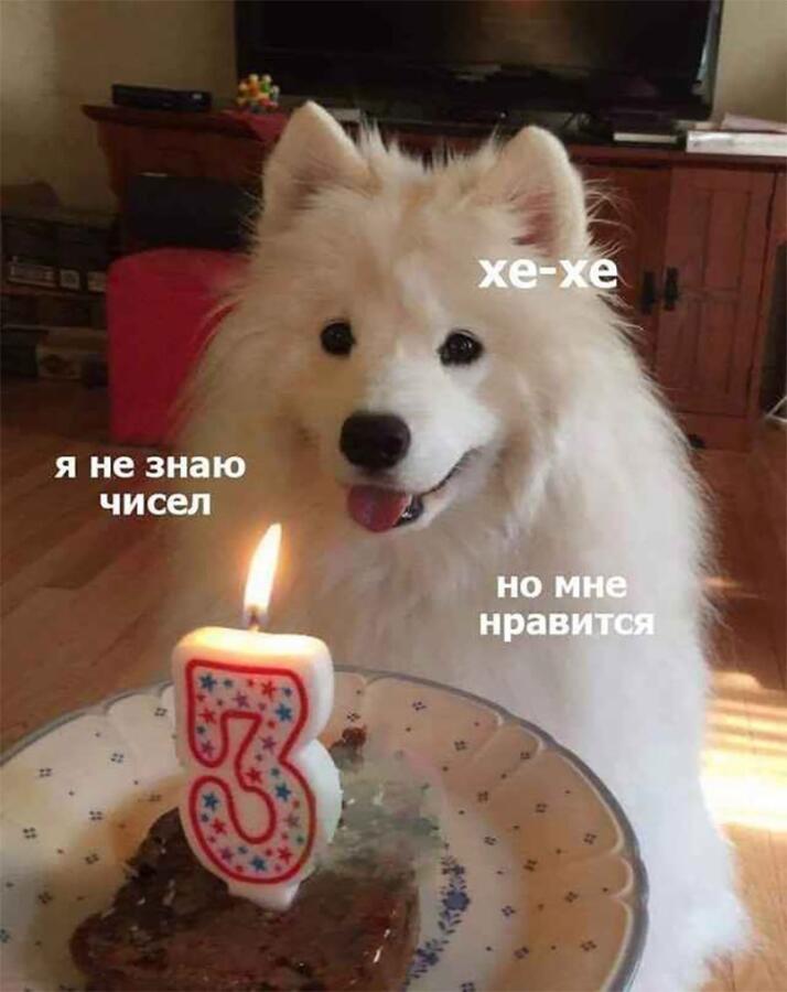 Мем от Биполярный Медведь