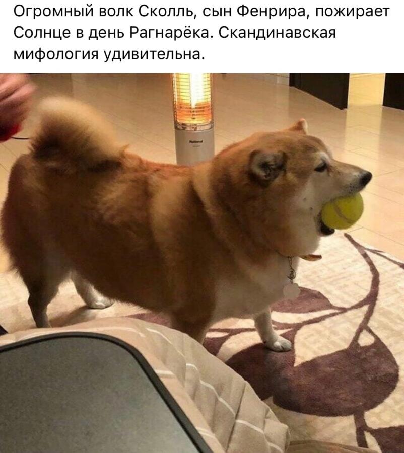 Мем от Биполярный Медведь