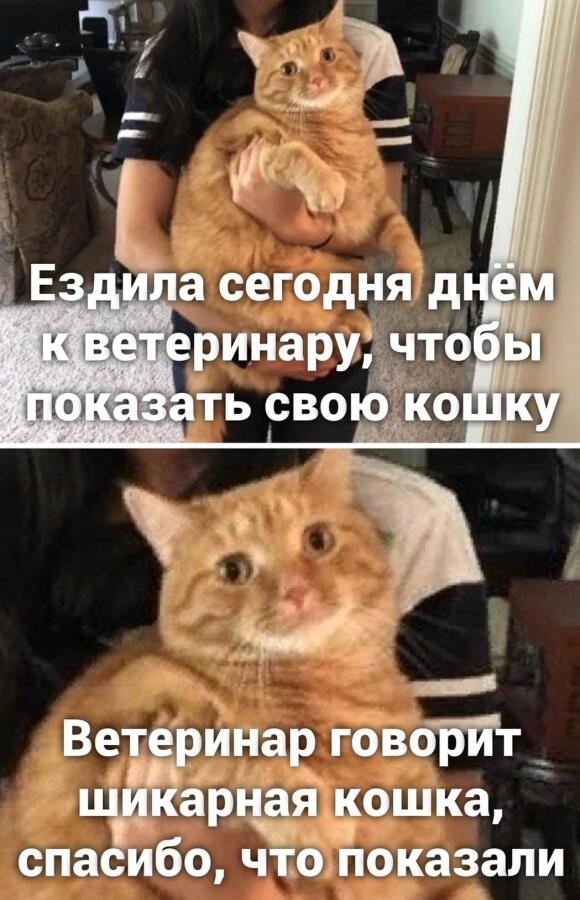 Мем от Биполярный Медведь
