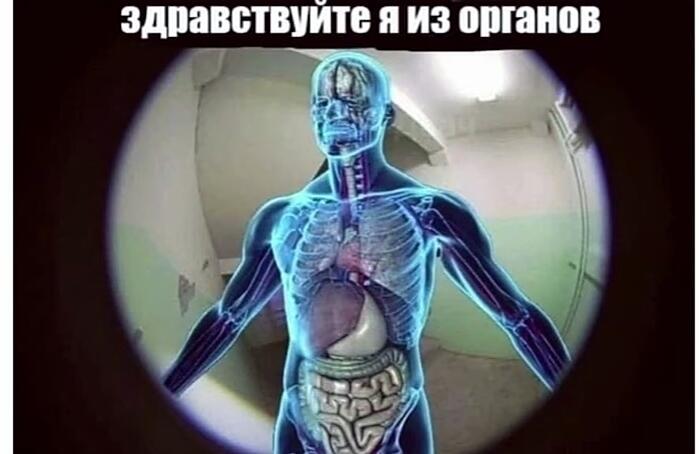 Если наше сознание по сути наш мозг.  То мы-мозг управляющий биокостю...