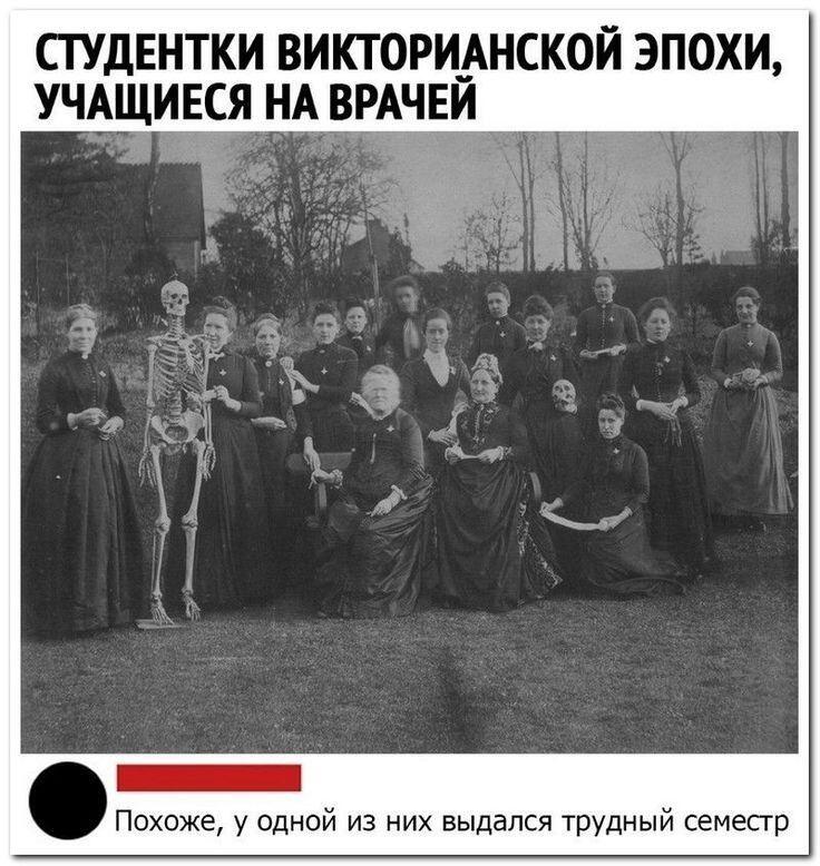 Мем от Mishutkaᐖ [ПЛМ]
