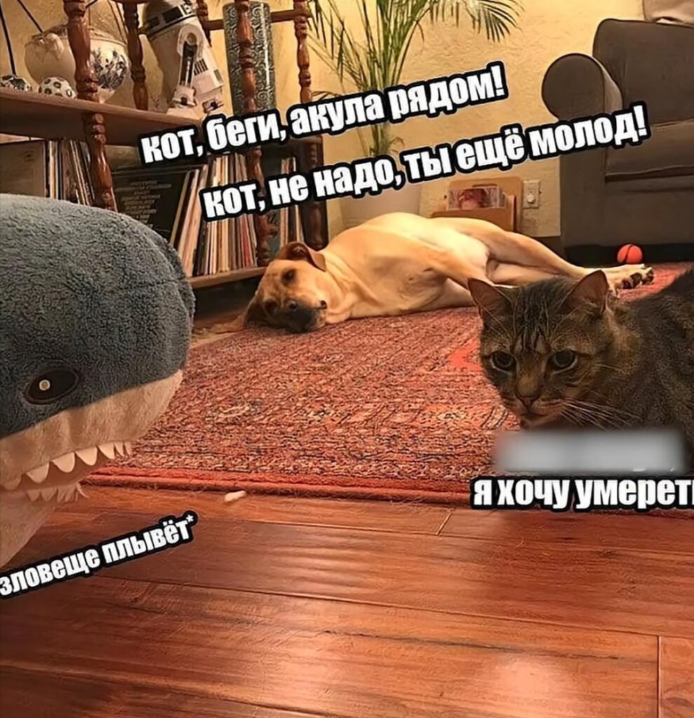 Мем без подписи