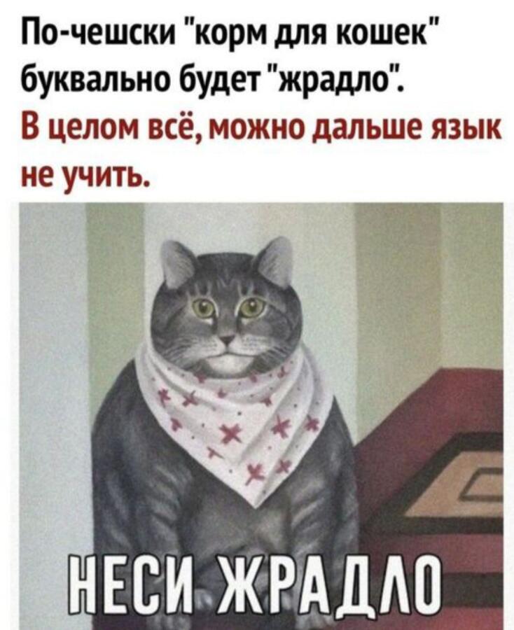 Мем от Vaf_le
