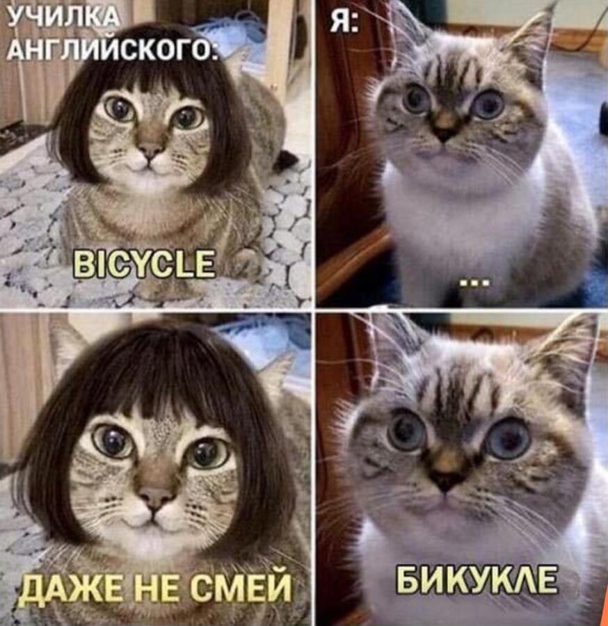 Мой английский до репетитора