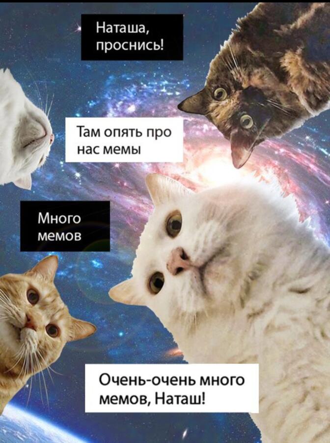 Мем от Vaf_le
