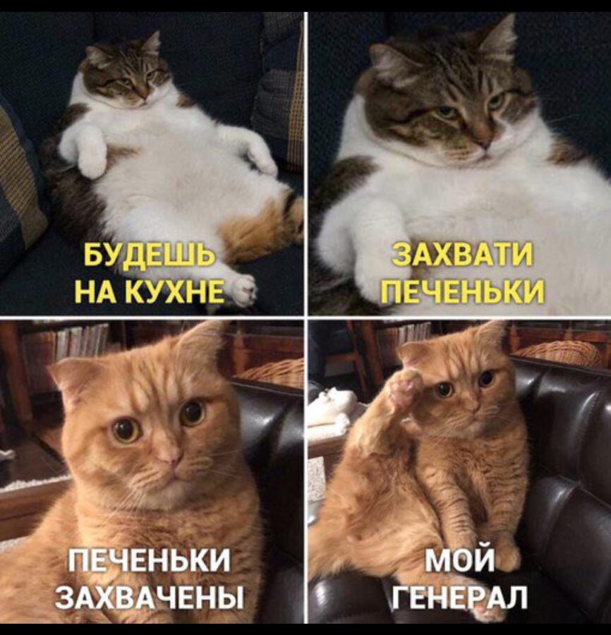 Алексей Сова вот мой генерал
