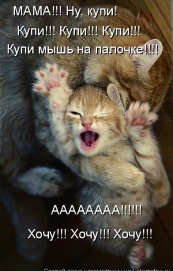 Когда мама взяла мелкого меня в магазин