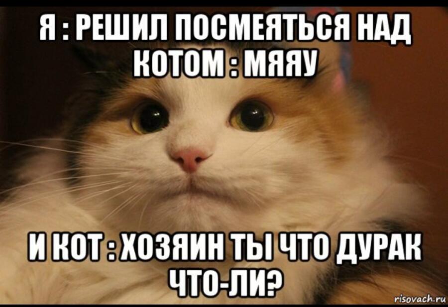 Мем от Vaf_le