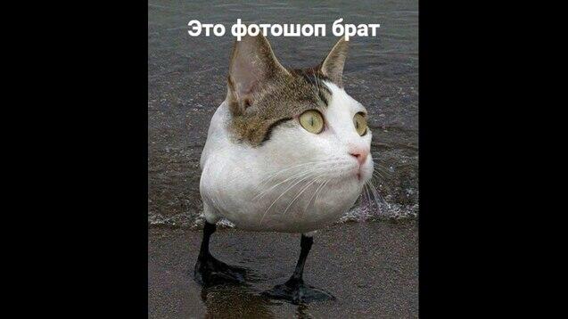 Мем от Пнилая Глоть