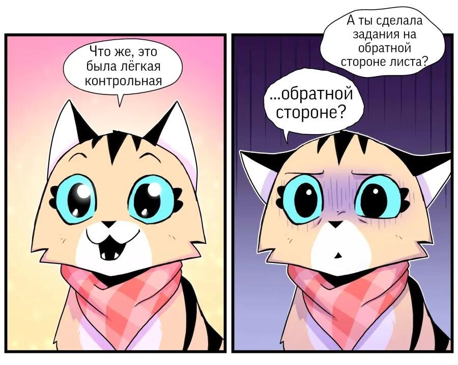 Двухпанельный комикс с мультяшным котом в розовом шарфе, который сначала радуется лёгкой контрольной, а потом в ужасе узнаёт, что задания были и на обратной стороне листа