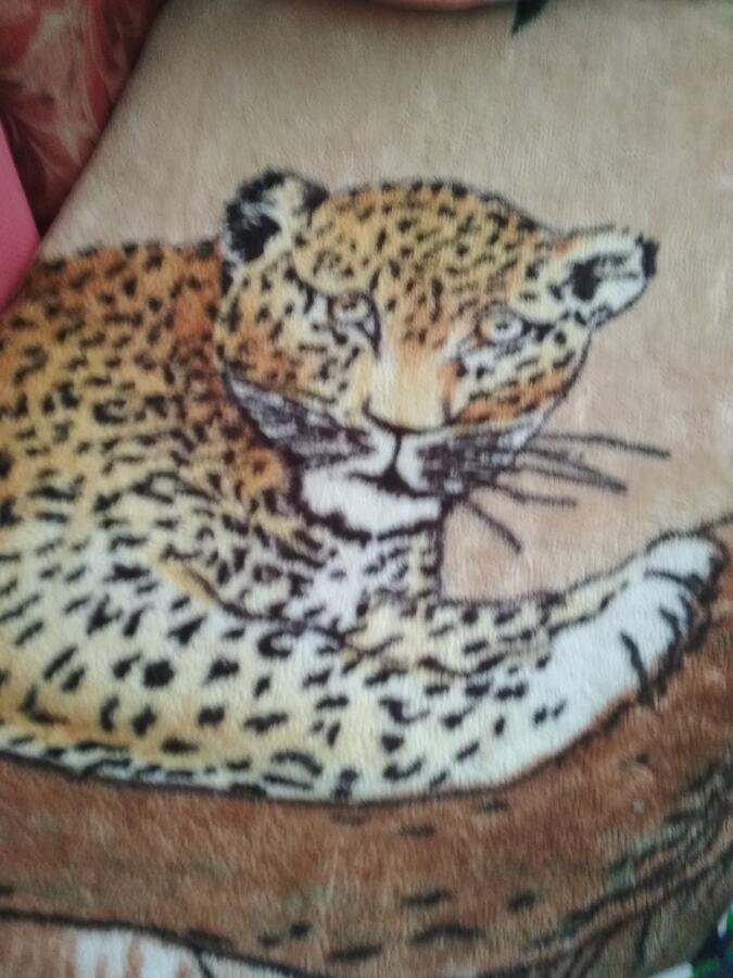 ЛяПеРт