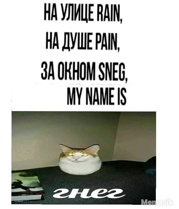 Мем от GLEBCAT