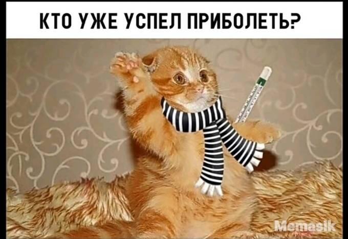 Мем от GLEBCAT