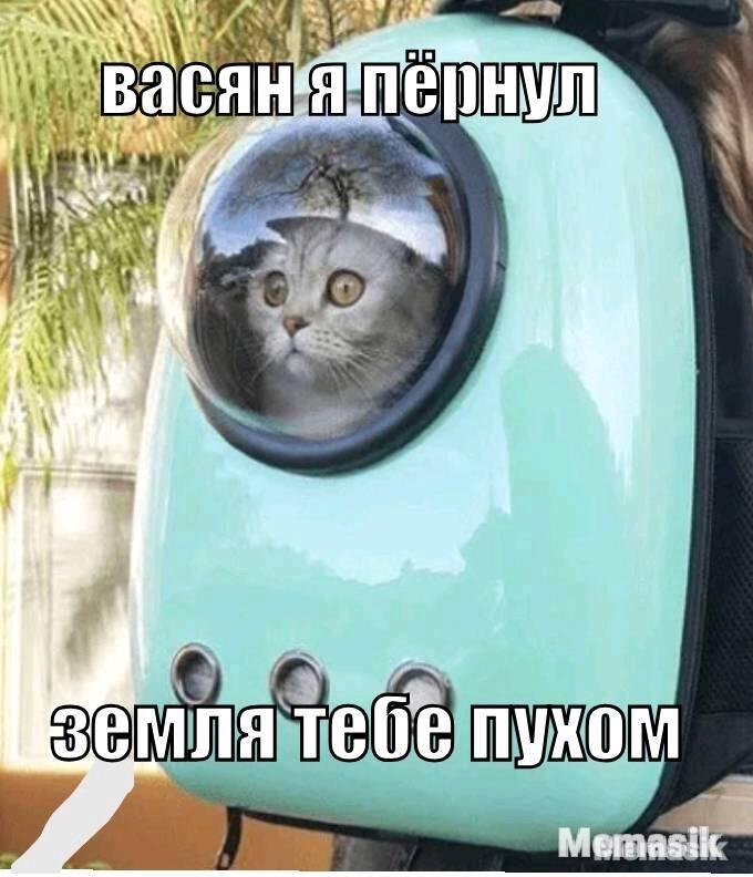 Мем от GLEBCAT