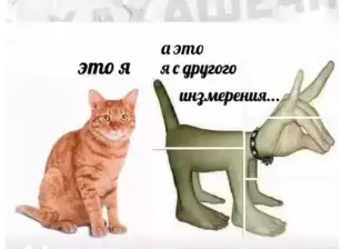 https://memozg.ru/img/posts/497_63e1079c580cd.webp