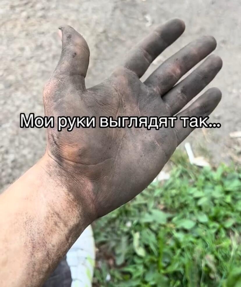 Мем от Империя кактусов[ПЛМ]