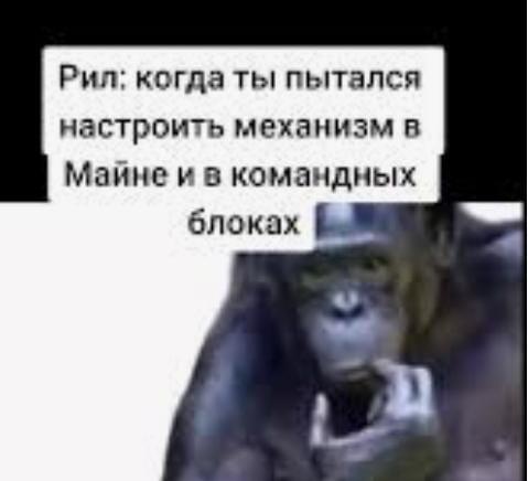 Жиза