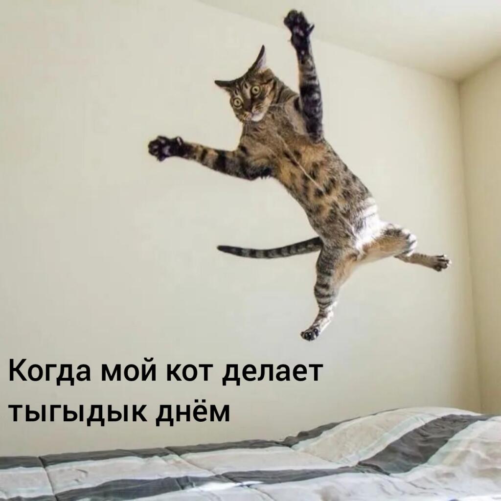 .