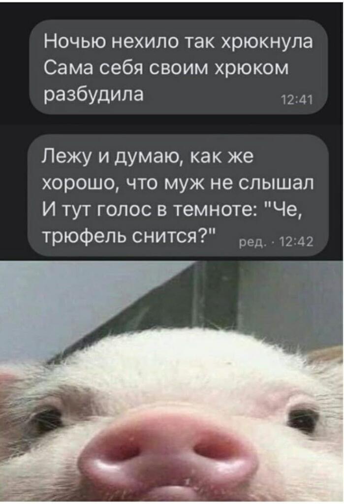 Милый свиномем