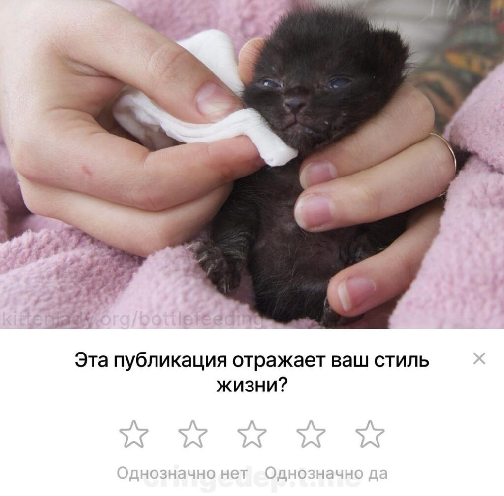 Мем от Сметана CHUP