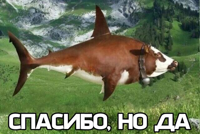 Мем от Shadman