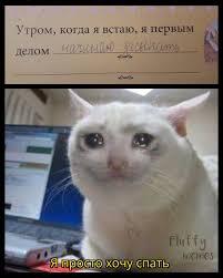 Мем без подписи