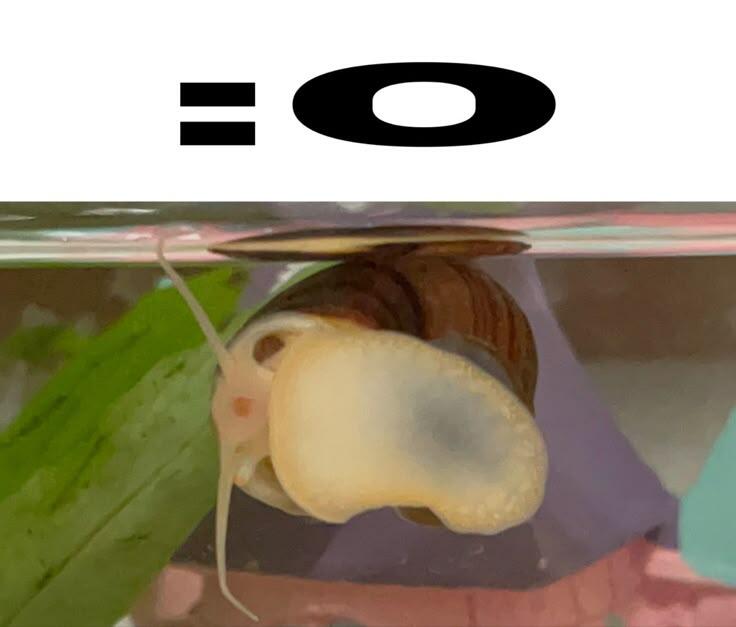 :о