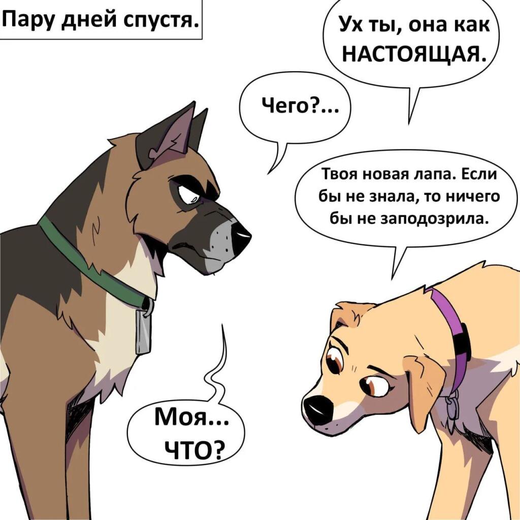 Комикс с антропоморфным псом Брутом с перевязанной лапой и котом Пикси, который спрашивает о ране (3 из 4)