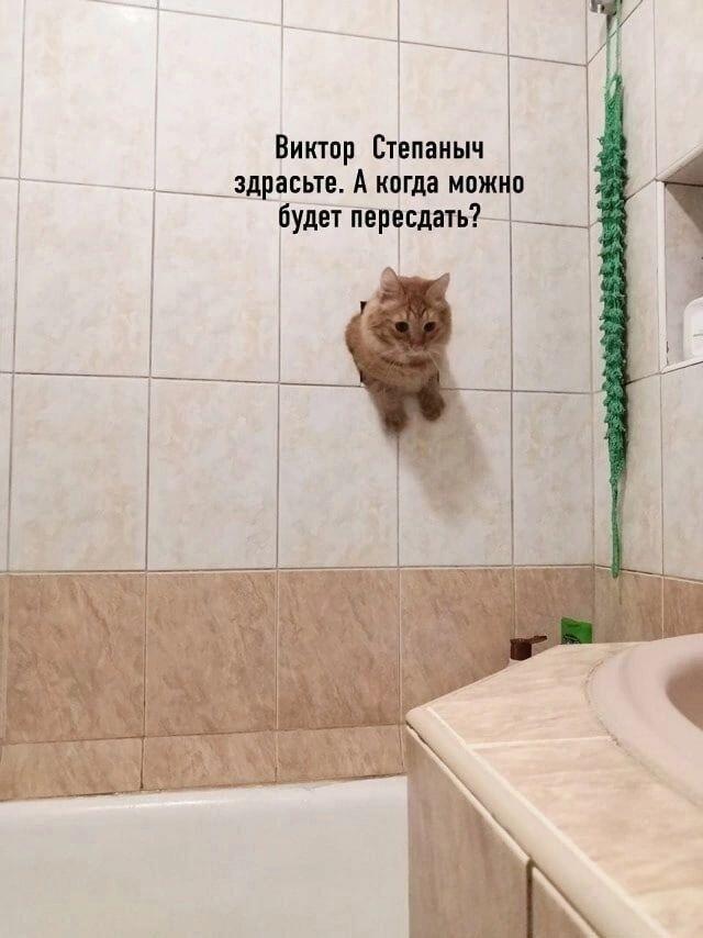 Мем от Ироник{ПЛМ}