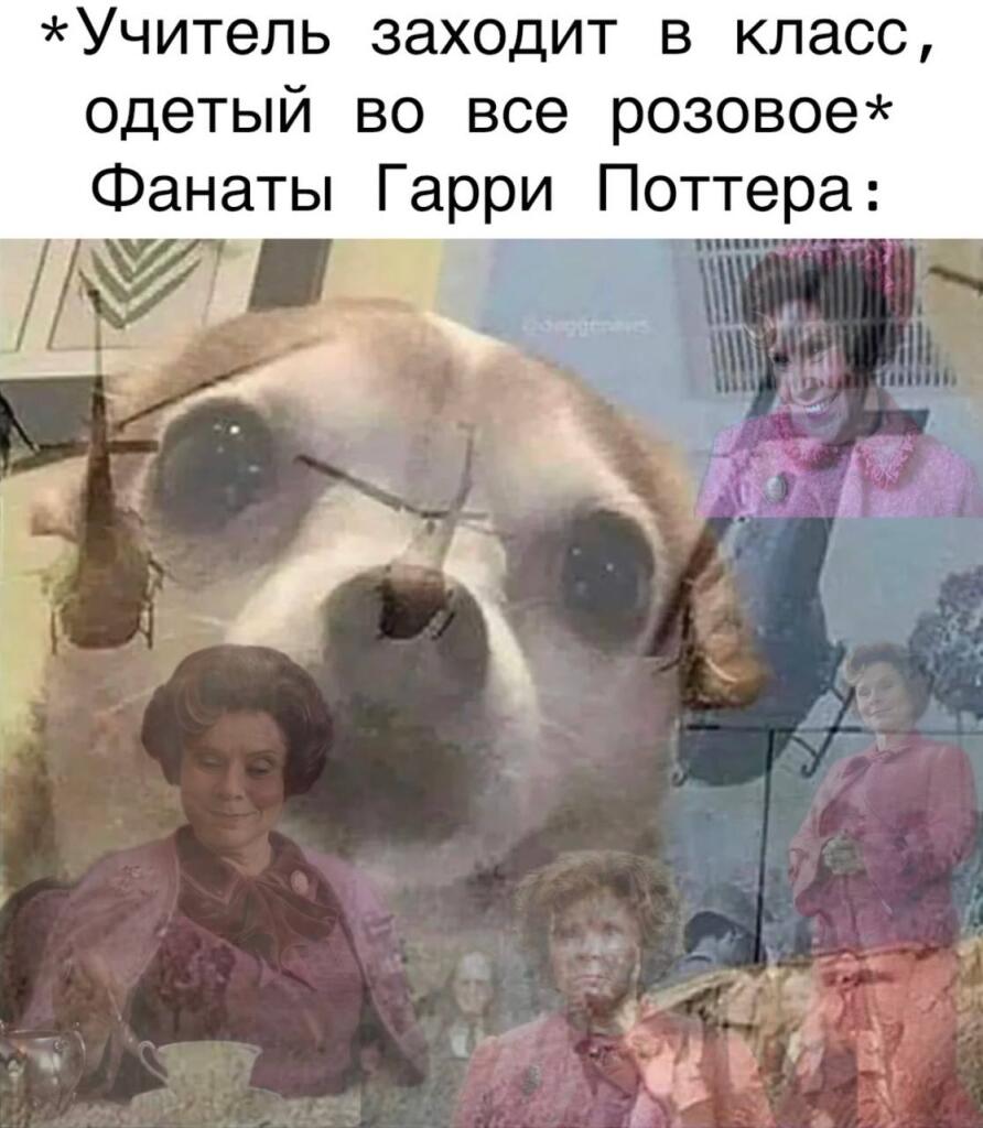 Ааааааааааааааа 🆘 у меня такая училка есть...