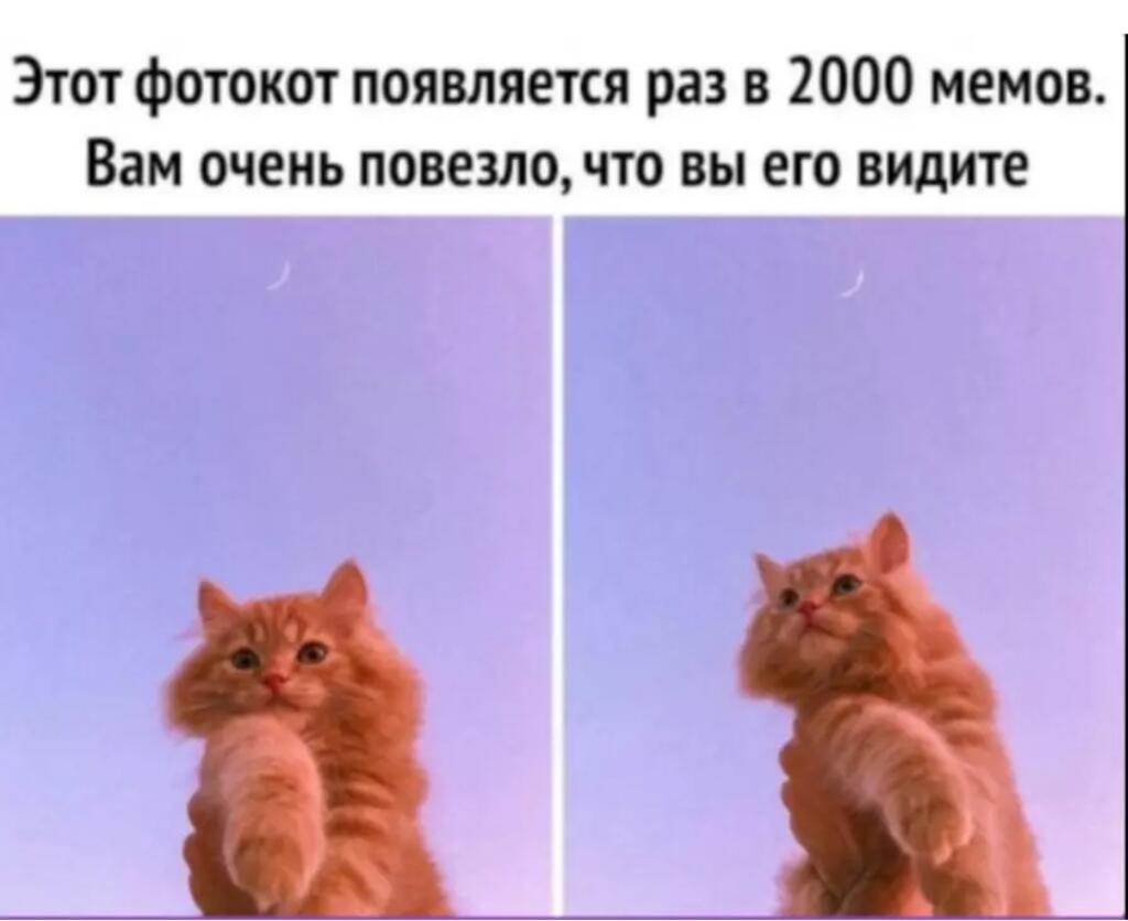 Тебе повезло )))